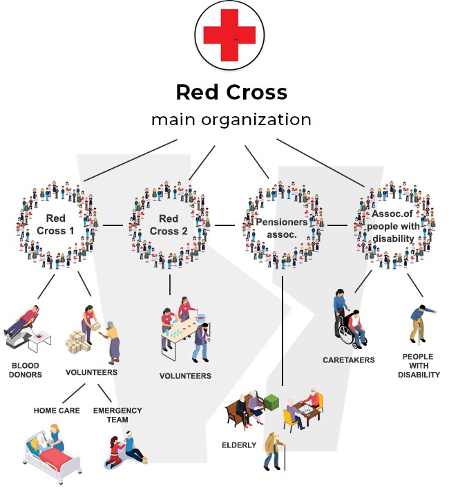 Red Cross organizational structure example